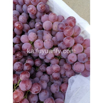 BINCHUAN GRAPES დაწყებულია